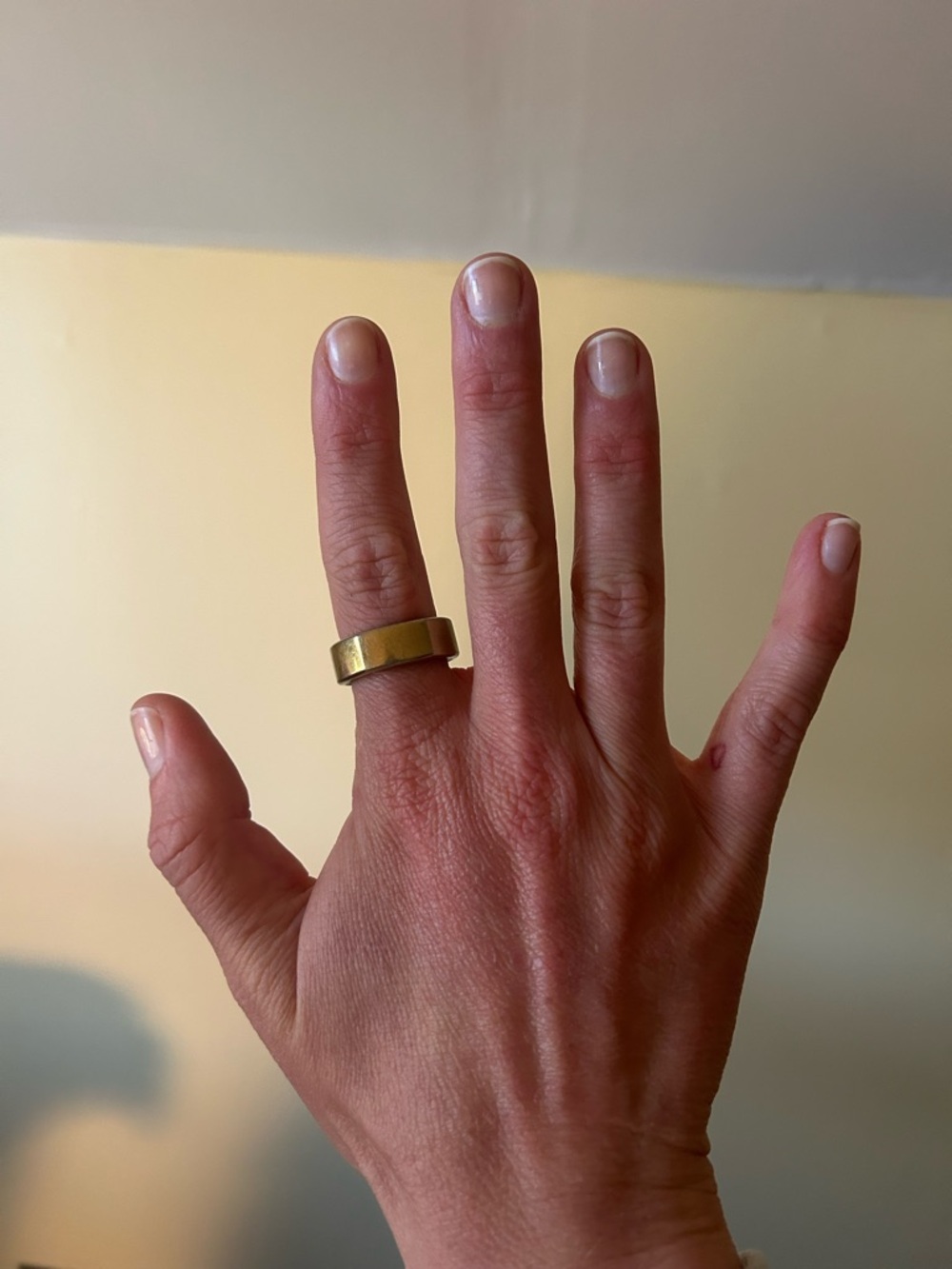 Oura Ring Gen 3 Heritage Size 9